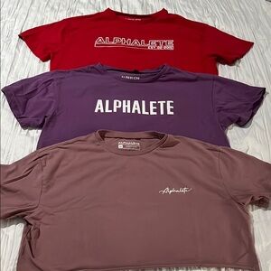 Alphalete Trio: Vibrant T-Shirt Collection